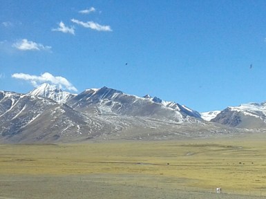 2014-11-21 a Train to Tibet day 2 (23)