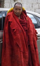 2014-11-22 j Lhasa - Sera Monastery (46)-crop