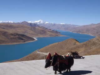 2014-11-24 c Yamdrok Lake (3)